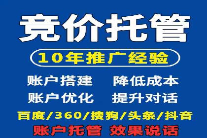 SEO策略在电商平台的成功应用案例